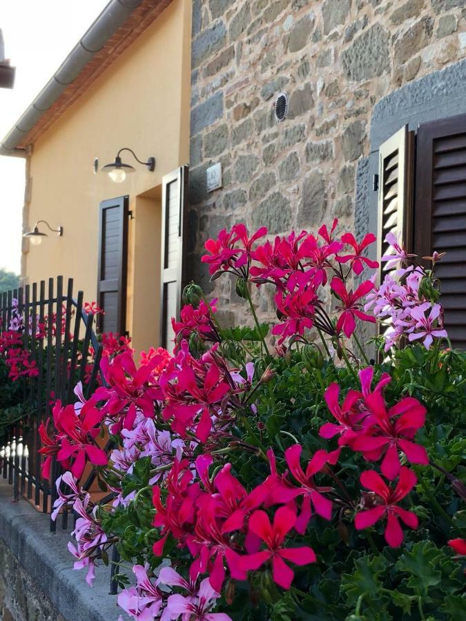 Apartament Mamma Laura Vagliagli Zewnętrze zdjęcie